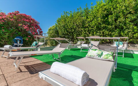 Villa La Pagliarina: Propiedad, Planta, Cielo, Verde, Naturaleza, Mueble Para Exteriores, Sombra, Diseño Urbano, Biome, Hierba