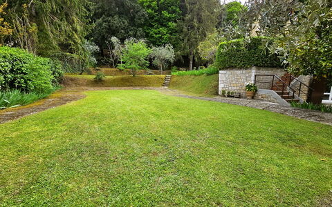 La Piccola Rocca: Planta, Propiedad, Verde, Árbol, Paisaje Natural, El Terreno Del Lote, Hierba, Vegetación, Arbusto, Paisaje