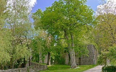 Casa Di Pietro In Vivo D'orcia, Pool