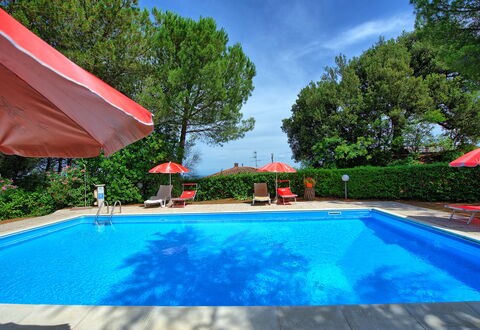 Leccino: Agua, Planta, Propiedad, Piscina, Nube, Naturaleza, Azur, Cielo, Árbol, Sombra