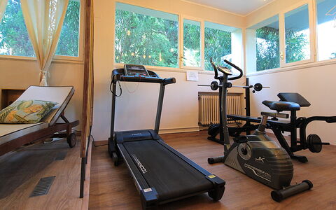 Provenzale Apartment, Garda Lake, Jacuzzi, Fitness: Propiedad, Maquina De Ejercicio, Ventana, Madera, Diseño De Interiores, Suelo, Piso, Madera Dura, Equipo De Ejercicio