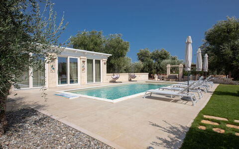 Terra Mater: Piscina, Barrio Residencial, Material Compuesto, Inmuebles, Mueble Para Exteriores, Sombra, Villa, Recurso, Paisajismo, Hacienda