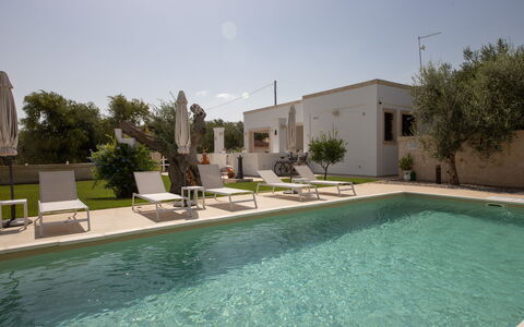 Terra Mater: Piscina, Inmuebles, Recurso, Hacienda, Sombra, Paisajismo, Patio Interior, Yarda, Villa, Patio