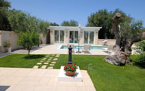 Terra Mater: Barrio Residencial, Jardín, Inmuebles, Paisajismo, Patio, Hormigón, Hacienda, Césped, Yarda, Sombra