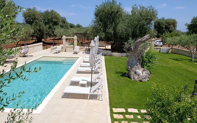 Terra Mater: Piscina, Mueble Para Exteriores, Recurso, Jardín, Losa, Inmuebles, Paisajismo, Patio Interior, Hacienda, Sombra