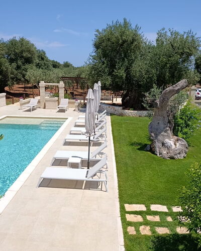 Terra Mater: Piscina, Mueble Para Exteriores, Recurso, Jardín, Losa, Inmuebles, Paisajismo, Patio Interior, Hacienda, Sombra