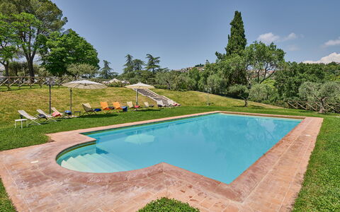Villa Conte Jacopo: Agua, Propiedad, Cielo, Piscina, Naturaleza, Árbol, Sombra, Rectángulo, Planta, Hierba