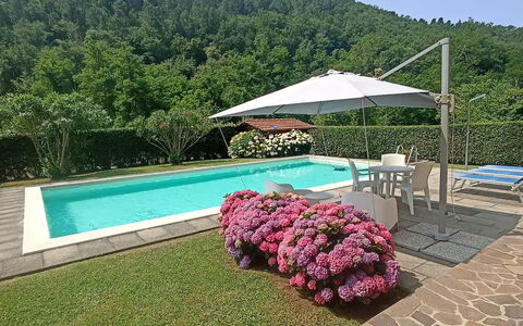 Villa Carducci: Cielo, Planta, Agua, Propiedad, Piscina, Paraguas, Flor, Mueble Para Exteriores, Sombra, Árbol
