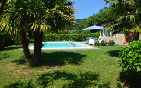 Villa Carducci: Agua, Planta, Piscina, Sombra, Árbol, Arecales, Mueble Para Exteriores, Ocio, Hierba, Paisaje