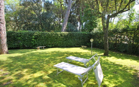 Villa Le Macchie: Planta, Mesa, Árbol, Sombra, Mueble Para Exteriores, Paisaje Natural, Vegetación, Luz De Sol, Hierba, Cobertura Del Suelo