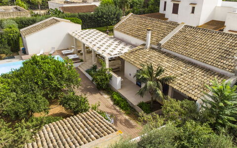 Villa Terrenove: Edificio, Planta, Ventana, Botánica, El Terreno Del Lote, Diseño Urbano, Vegetación, Árbol, Biome, Techo