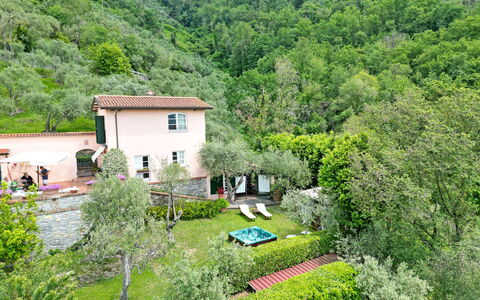 Villetta Verde: Planta, Planta De La Comunidad, Árbol, Paisaje Natural, Edificio, Casa, Vegetación, Ventana, El Terreno Del Lote, Cabaña