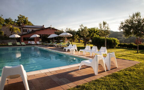 Villa Angelica: Agua, Planta, Nube, Cielo, Piscina, Mueble Para Exteriores, Árbol, Sunlounger, Silla, Sombra