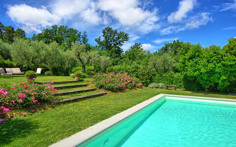 Villa Mami: Planta, Agua, Cielo, Nube, Propiedad, Verde, Paisaje Natural, Árbol, Flor, Hierba