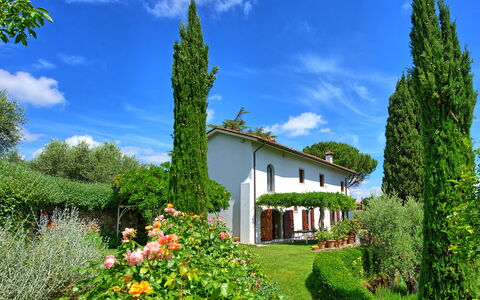 Villa Mami: Nube, Flor, Cielo, Planta, Propiedad, Edificio, Verde, Paisaje Natural, Árbol, Botánica