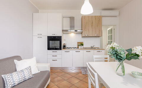 Cyca Holiday Home: Mueble, Flor, Gabinetes, Propiedad, Mostrador, Planta, Diseño De Interiores, Sofá, Estufa De Cocina