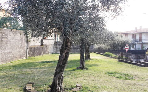 Casa Vacanze Sabrina: Planta, Rama, El Terreno Del Lote, Árbol, Hierba, Edificio, Plantas Leñosas, Tintes Y Sombras, Paisaje, Sombra