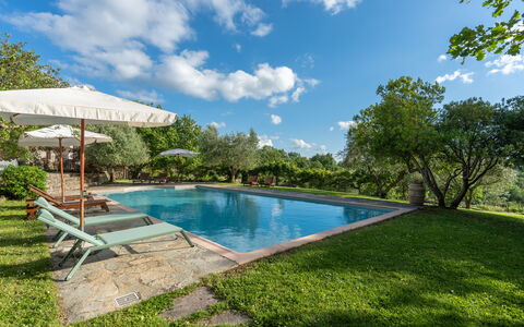 Villa Ida: Agua, Nube, Planta, Cielo, Piscina, Árbol, Hierba, Sombra, Mueble Para Exteriores, Paisaje Natural