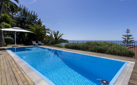 Villa Incredible View: Agua, Los Recursos Hídricos, Planta, Mundo, Naturaleza, Infraestructura, Cuerpo De Agua, Edificio, Diseño Urbano, Árbol