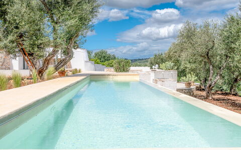 Villa La Selva: Agua, Cielo, Nube, Propiedad, Planta, Piscina, Azur, Árbol, Sombra, Material Compuesto