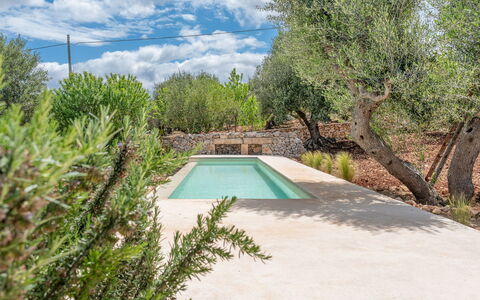 Villa La Selva: Agua, Planta, Planta De La Comunidad, Cielo, Nube, Piscina, Paisaje Natural, Árbol, Sombra, Paisaje