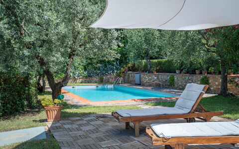 Chianti Hills Apartment, Pool, Ac: Planta, Agua, Propiedad, Mueble, Piscina, Sombra, Mueble Para Exteriores, Diseño De Interiores, Sunlounger, Árbol