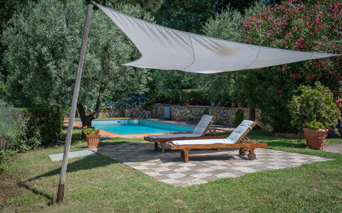 Chianti Hills Apartment, Pool, Ac: Planta, Agua, Mesa, Sombra, Maceta, Árbol, Mueble Para Exteriores, Sunlounger, Piscina, Ocio