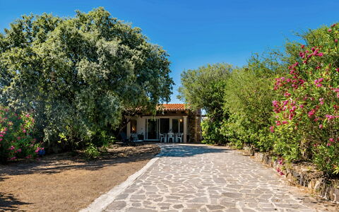 La Casa dei Nonni: Arbusto, Jardín, Sombra, Losa, Paisajismo, Yarda, Entrada De Coches, Hacienda, Patio Interior, Casa De Campo