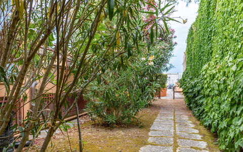 Fano Suite Apartment: Planta, Planta Terrestre, Hierba, Paisaje Natural, Superficie De La Carretera, Arbusto, Árbol, Arecales, Cielo, Paisaje
