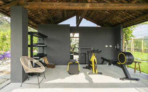 B&b Vigne Di Fagnano Without Kitchen: Planta, Sombra, Diseño De Interiores, Madera, Suelo, Ocio, Piso, Silla, Árbol, Haz
