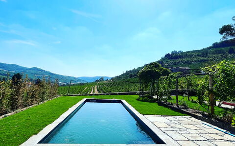 B&b Vigne Di Fagnano Without Kitchen: Agua, Cielo, Planta, Azur, Paisaje Natural, Piscina, Árbol, Rectángulo, Cuerpo De Agua, Nube
