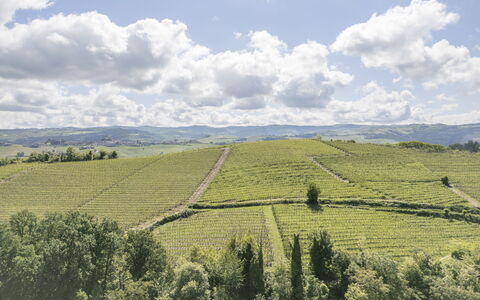 Arpusè, Relax nelle Langhe - Barolo, with Pool: Paisaje Natural, Agricultura, Plantación, Campo, Colina, Tierras Altas, Llanura, Paisaje, Pradera, Área Rural