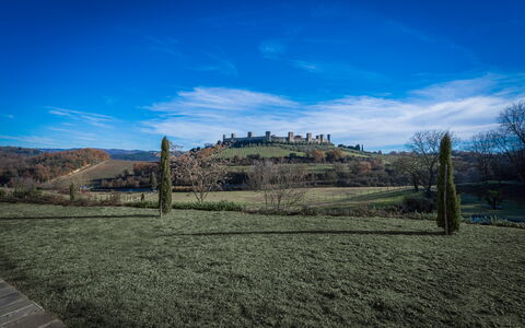 Santa Colomba House, Siena, Nature And Pool: Hierba, Pradera, Paisaje, Llanura, El Terreno Del Lote, Área Rural, Campo, Pasto, Prado, Pradera