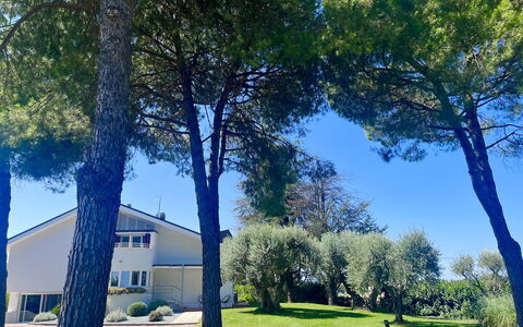 Villapronti: Planta, Propiedad, Cielo, Edificio, Árbol, Verde, Azul, Sombra, Paisaje Natural, Rama