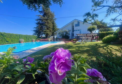 Villapronti: Flor, Planta, Cielo, Planta De La Comunidad, Botánica, Hoja, Púrpura, Vegetación, Paisaje Natural, Pétalo