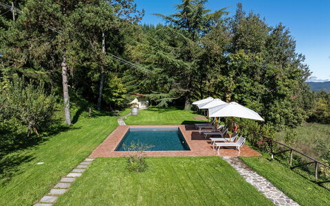 Villa Chicco: Planta, Cielo, Paraguas, Botánica, Árbol, Sombra, El Terreno Del Lote, Hierba, Piscina, Ocio