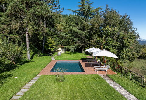 Villa Chicco: Planta, Cielo, Paraguas, Botánica, Árbol, Sombra, El Terreno Del Lote, Hierba, Piscina, Ocio