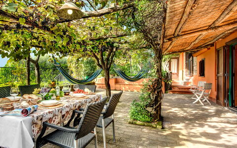 Villa Sorrentina With Panoramic Terrace: Mueble, Planta, Edificio, Mesa, Árbol, Ventana, Silla, Sombra, Mueble Para Exteriores, Bienes Raíces