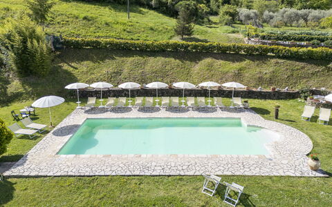 Marcigliana Cottage, Pool, Radicondoli: Mueble Para Exteriores, Piscina, Césped, Recurso, Jardín, Eco Hotel, Mesa Al Aire Libre, Sunlounger, Hotel, Paisajismo