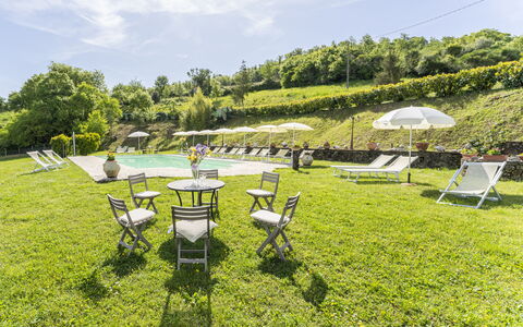 Marcigliana Cottage, Pool, Radicondoli: Hierba, Paisaje, El Terreno Del Lote, Cobertura Del Suelo, Jardín, Primavera, Prado, Mueble Para Exteriores, Ocio, Césped