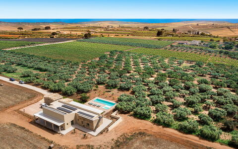 Cavial: Cielo, Planta, Propiedad, Planta De La Comunidad, Flor, El Terreno Del Lote, Árbol, Paisaje Natural, Agricultura, Paisaje