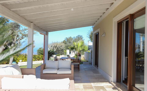 Villa Don Sante In Locorotondo Puglia: Sombra, Planta, Barrio Residencial, Techo, Puerta, Madera, Árbol, Piso, Cielo, Fachada
