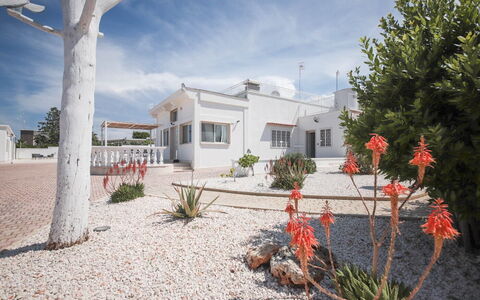 Villa Azzurra Seaview In Monopoli, Puglia: Nube, Planta, Cielo, Propiedad, Edificio, Ventana, Árbol, Casa, El Terreno Del Lote, Arecales