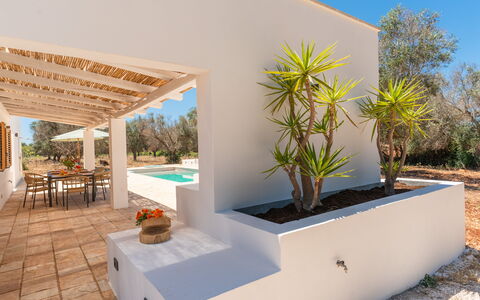 Villa Jolie: Sombra, Paisajismo, Jardín, Eco Hotel, Inmuebles, Diseño, Hacienda, Villa, Recurso
