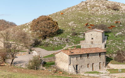 Arcidosso 300