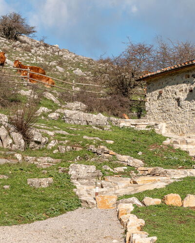 Acqua 300.1