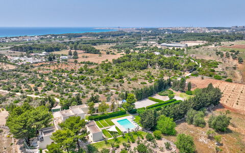 Masseria Ceratonia: Árbol, Vista Panorámica, Barrio Residencial, Paisaje, Fotografía Aérea, El Terreno Del Lote, Diseño Urbano, Suburbio, Inmuebles, Plantación