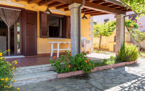 Remo: Madera, Puerta, Maceta, Sombra, Manchas De Madera, Planta De Casa, Jardín, Porche, Patio, Estructura Al Aire Libre