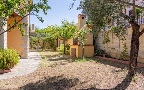 Remo: Pared, Arbusto, Jardín, Maceta, Patio Interior, Sombra, Paisajismo, Planta De Casa, Yarda, Losa