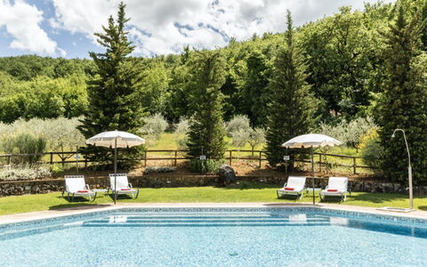 Podere Monti: Mueble, Piscina, Recurso, Mueble Para Exteriores, Sunlounger, Alerce, Fuente De Agua, Eco Hotel, Thermae